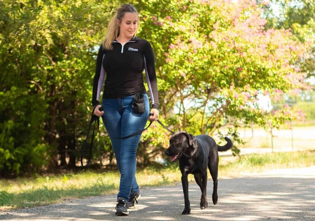 Dog Training Customer Service