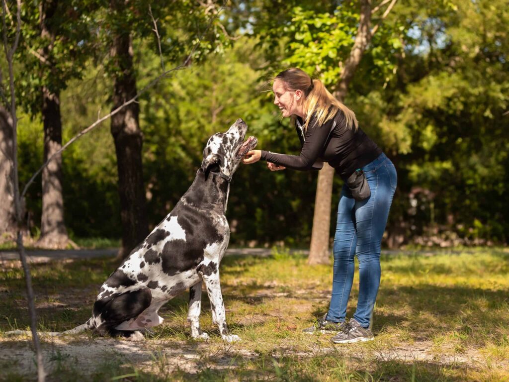 Dog Training Customer Service