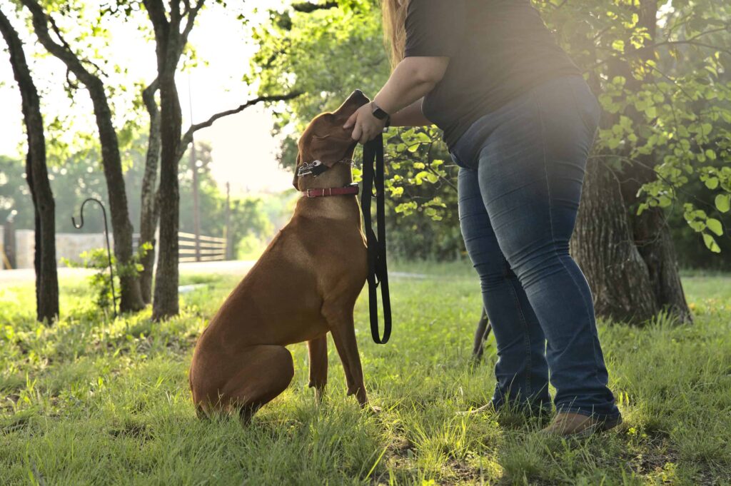 Dog Training Customer Service