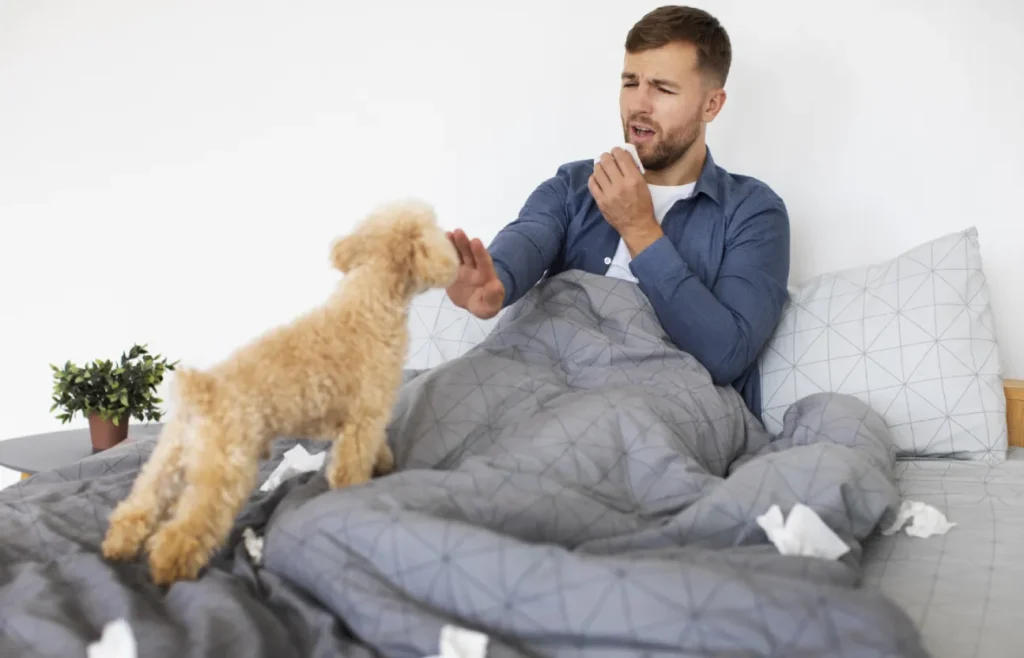 What is kennel cough?