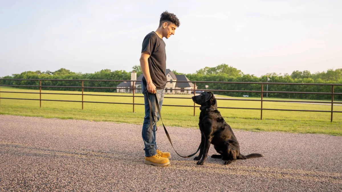 Service Dog Program (1)